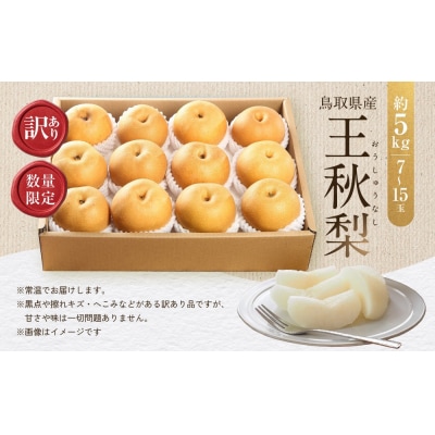 訳あり 数量限定 鳥取県産 王秋梨(おうしゅうなし) 約5kg (7～15玉)