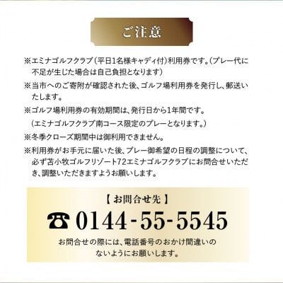 【平日限定】苫小牧ゴルフリゾート72エミナ ゴルフクラブ　ゴルフ場利用券 (南コースキャディ付)