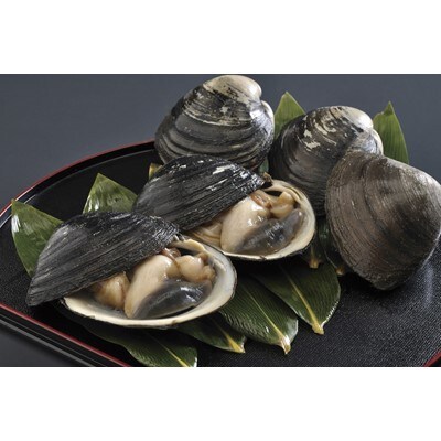 【2023年4月中旬発送】苫小牧産砂出し活北寄貝と北寄醤油のセット