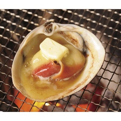 【2023年4月中旬発送】苫小牧産砂出し活北寄貝と北寄醤油のセット