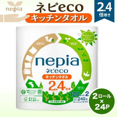 紙のまち苫小牧　ネピecoキッチンタオル2ロール24パック　紙包装