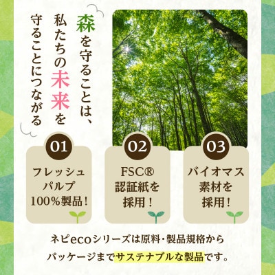 紙のまち苫小牧　ネピecoキッチンタオル2ロール24パック　紙包装