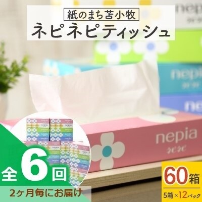 2023年1月発送開始『定期便』紙のまち苫小牧　ネピネピティッシュ(60箱)＜隔月発送＞全6回