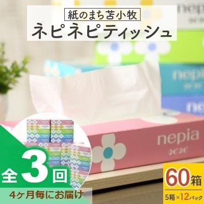 2022年5月発送開始『定期便』紙のまち苫小牧　ネピネピティッシュ(60箱)＜4カ月ごと＞全3回