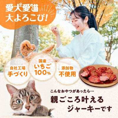 いちご100%ジャーキー 10g×3 完全無添加 犬用 猫用 おやつ アスランエゾベニソン　
