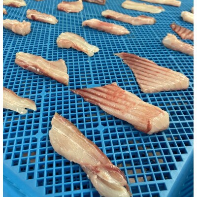 【2ヵ月毎定期便】北海道かすべジャーキー 無添加 犬猫 アスランファクトリー[40g×3袋]全6回