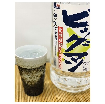 ビッグマン 4L 2本入り
