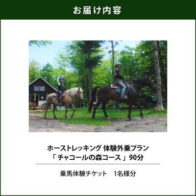 大自然の森でホーストレッキング!体験外乗プラン90分「チャコールの森コース」