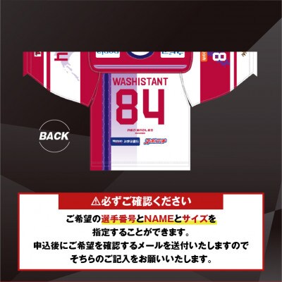 レッドイーグルス北海道の2024-2025オーセンティックユニフォーム・アウェー　1枚