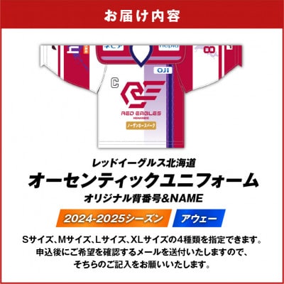 レッドイーグルス北海道の2024-2025ユニフォーム・アウェー　オリジナル背番号&NAME1枚