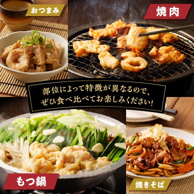 ホルモン食べ比べ6種セット(豚ホルモン、牛シマ腸、豚マルチョウ)