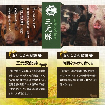 【毎月定期便】日本の米育ち平田牧場の満足セット!全3回