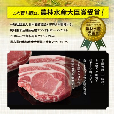 【毎月定期便】日本の米育ち平田牧場の満足セット!全3回