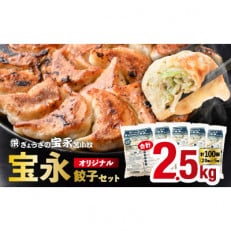 【ぎょうざの宝永】宝永餃子(500g×5袋)合計2.5kg