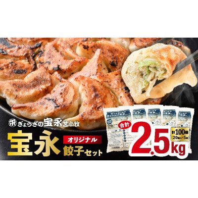 【ぎょうざの宝永】宝永餃子(500g×5袋)合計2.5kg