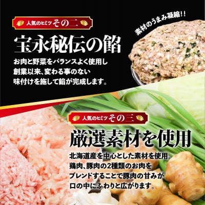 【ぎょうざの宝永】宝永餃子(500g×5袋)合計2.5kg