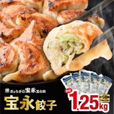 【ぎょうざの宝永】宝永餃子(250g入×5袋)合計1.25kg