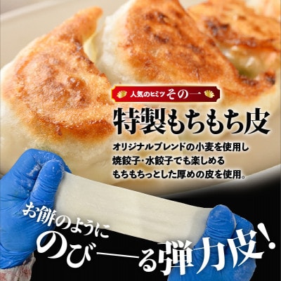 【ぎょうざの宝永】宝永餃子(250g入×5袋)合計1.25kg