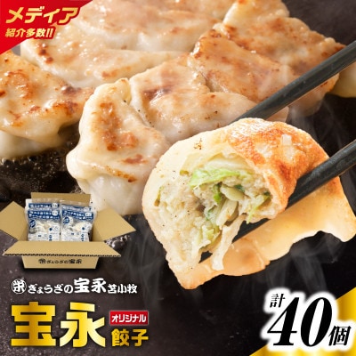 ぎょうざの宝永　宝永餃子10個入セット(宝永餃子10個入×4袋)合計1.0kg