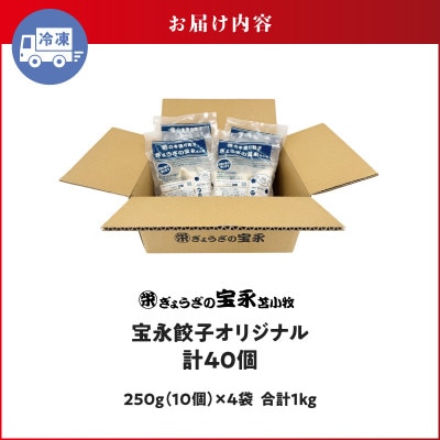 ぎょうざの宝永　宝永餃子10個入セット(宝永餃子10個入×4袋)合計1.0kg