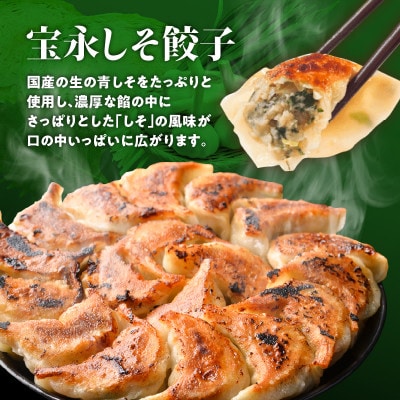 手包み餃子 ぎょうざの宝永 しそ餃子60個セット(宝永餃子15個入×2袋・しそ餃子15個入×2袋)