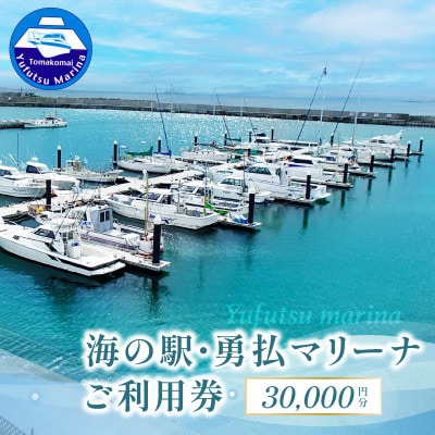 勇払マリーナ利用券　30,000円分