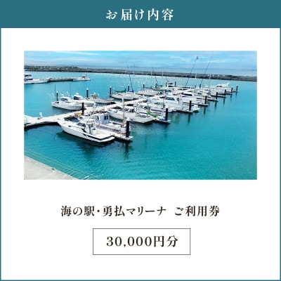 勇払マリーナ利用券　30,000円分