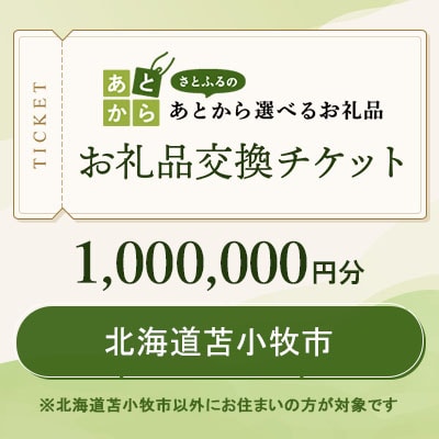 北海道苫小牧市　お礼品交換チケット　1,000,000円分