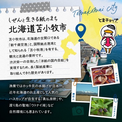 【返礼品なし】北海道苫小牧市　応援寄附金(1,000円)