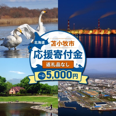 【返礼品なし】北海道苫小牧市　応援寄附金(5,000円)