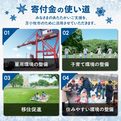 【返礼品なし】北海道苫小牧市　応援寄附金(5,000円)