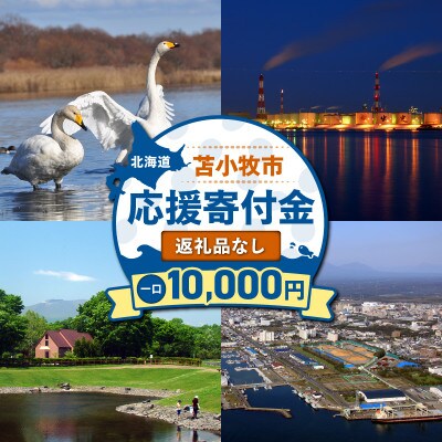 【返礼品なし】北海道苫小牧市　応援寄附金(10,000円)