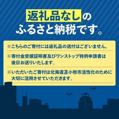 【返礼品なし】北海道苫小牧市　応援寄附金(10,000円)