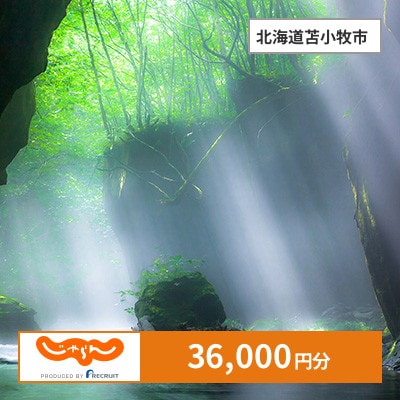 【じゃらんふるさと納税クーポン】 北海道苫小牧市でつかえる36,000円 クーポン