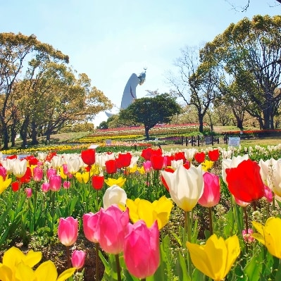 万博記念公園特別利用券　A:万博ビーストコース