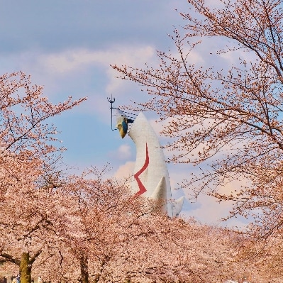 万博記念公園特別利用券　A:万博ビーストコース