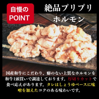 黒毛和牛ホルモン 焼うどん 3枚
