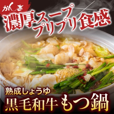 【5～6人前】【熟成しょうゆ味】博多 牛もつ鍋セット