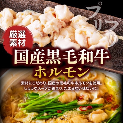 【5～6人前】【熟成しょうゆ味】博多 牛もつ鍋セット