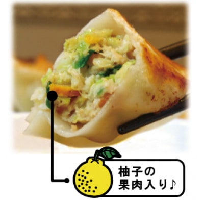 2種類の自家製手作り冷凍生餃子『ゆず餃子&プレーン餃子　各50個入り』セット