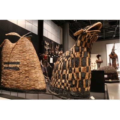 国立民族学博物館　本館展示招待券　4枚