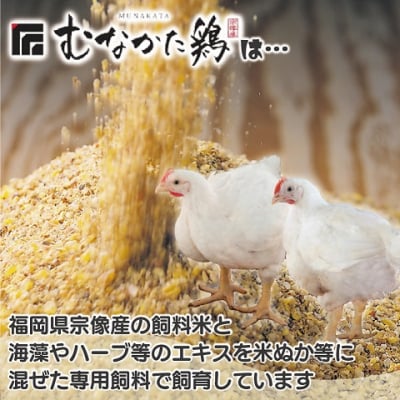 宗像産ブランド鶏【むなかた鶏】ムネ肉6kg(平飼い)【JAほたるの里】_HA1418