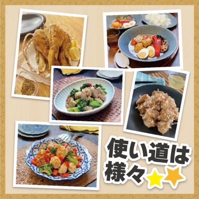 宗像産ブランド鶏【むなかた鶏】手羽先4kg(平飼い)【JAほたるの里】_HA1422