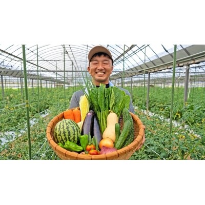 【定期便/3回/毎月お届け】宗像とれたて　野菜とたまごの定期便【オアシス】_HB0081