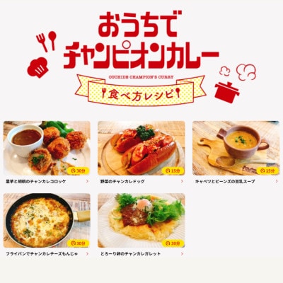 チャンピオンカレー冷蔵カレーパック540g4個(各2個)セット