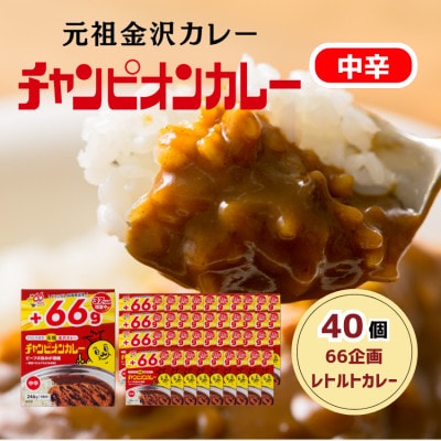 【66(ロクロク)企画限定商品】チャンピオンカレーレトルト中辛246g×40個セット