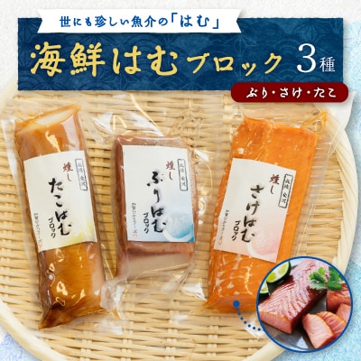海鮮はむブロック3種詰め合わせ(ぶり、さけ、たこ)