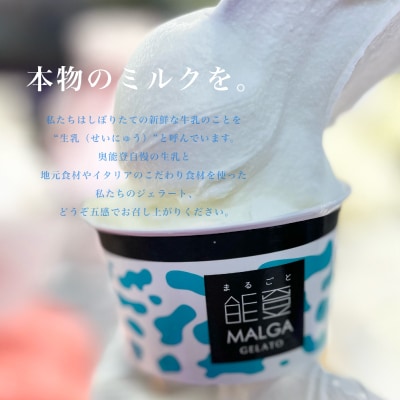 【国内外で数々の受賞歴をもつジェラート店】受賞・まるごと能登ジェラート　12個