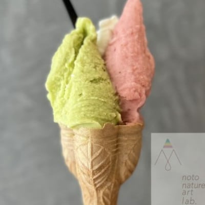 【国内外で数々の受賞歴をもつジェラート店】受賞・まるごと能登ジェラート　16個