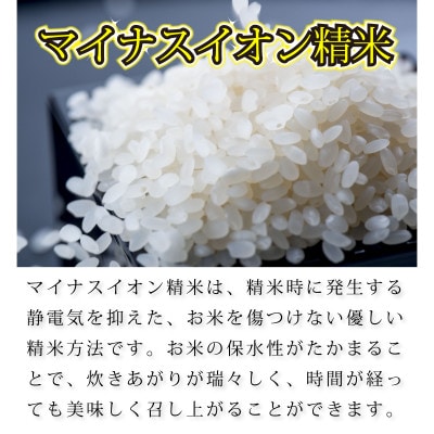 奥能登コシヒカリ「門前米」2kg